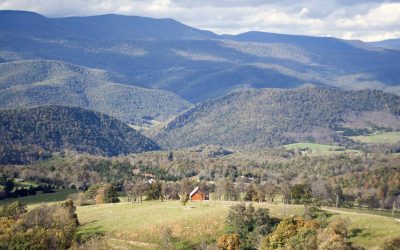 Beware of the Quitclaim Deed